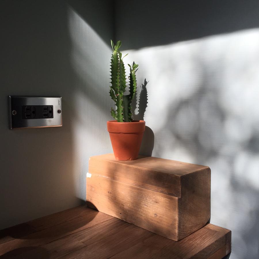 Miaoko Hostel Dahan Εξωτερικό φωτογραφία